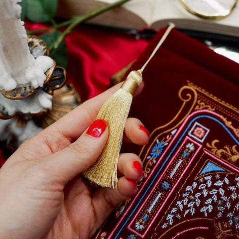 Literati Crimson Book Sleeve