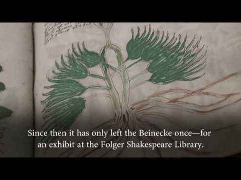 The Voynich Manuscript