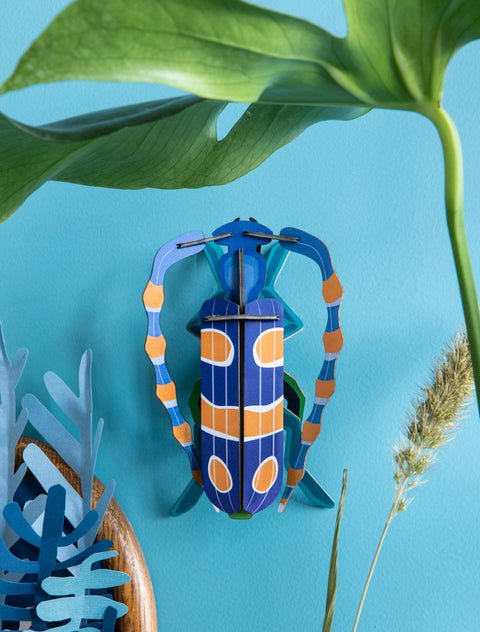 Rosalia Beetle Wall Art (B7)