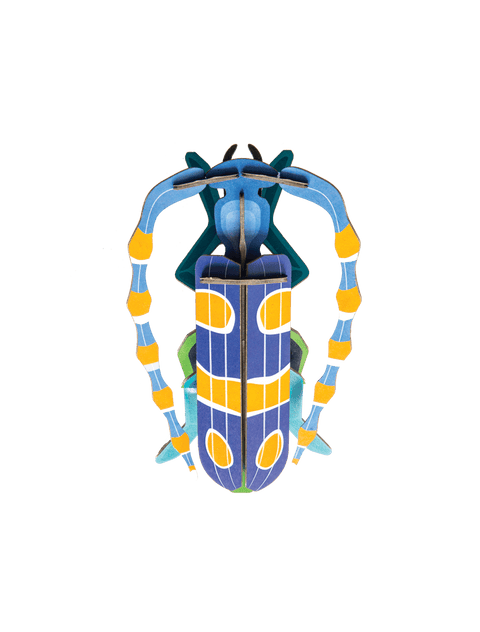 Rosalia Beetle Wall Art (B7)