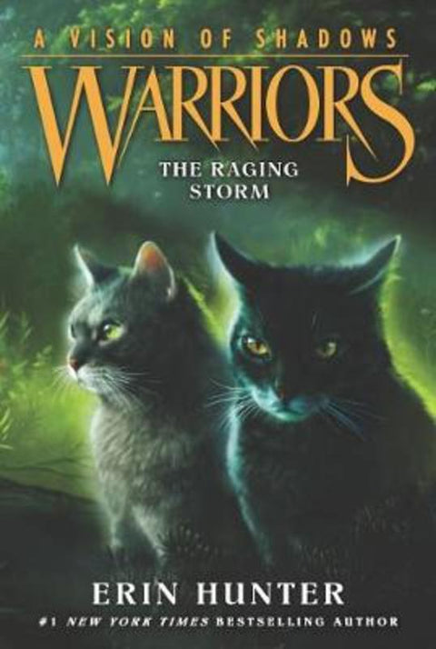 Warriors: A Vision of Shadows #6: The Raging Storm by Erin Hunter - 9780062386595