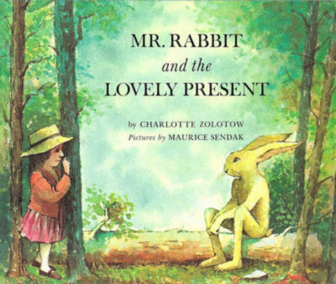 Mr Rabbit And The Lovely Present by Charlotte Zolotow - 9780099432951