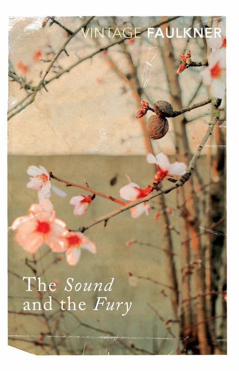 The Sound and the Fury by William Faulkner - 9780099475019