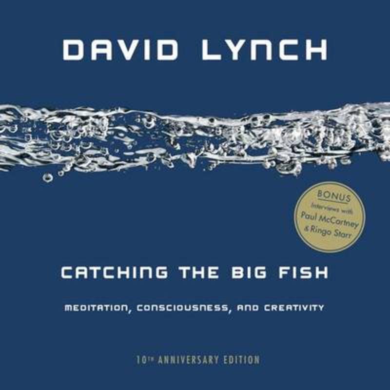 Catching the Big Fish by David Lynch - 9780143130147