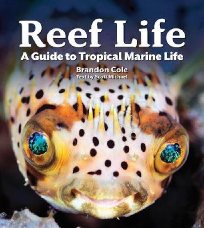 Reef Life by Michael Scott - 9780228102946