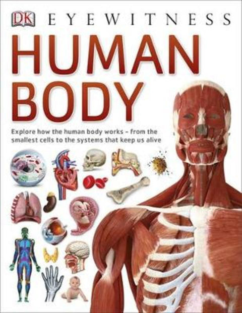 Human Body by DK - 9780241013618