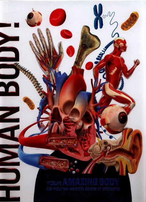 Knowledge Encyclopedia Human Body! by DK - 9780241286852