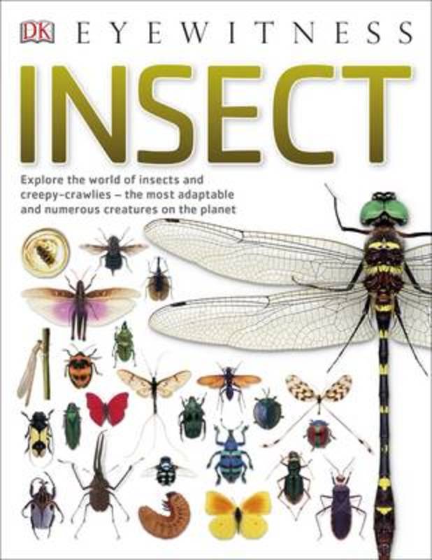 Insect by DK | Harry Hartog – Harry Hartog Bookseller