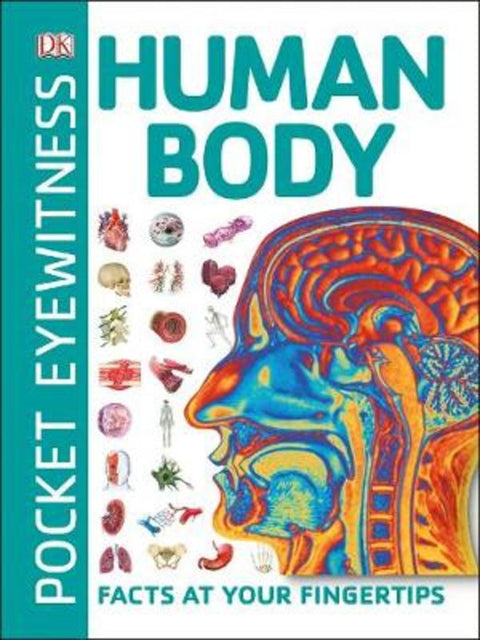Pocket Eyewitness Human Body by DK - 9780241343630