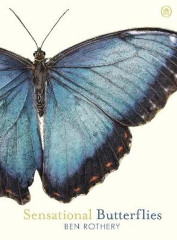 Sensational Butterflies by Ben Rothery - 9780241361047