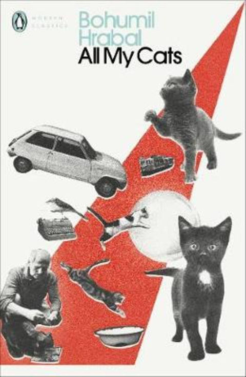 All My Cats by Bohumil Hrabal - 9780241422199
