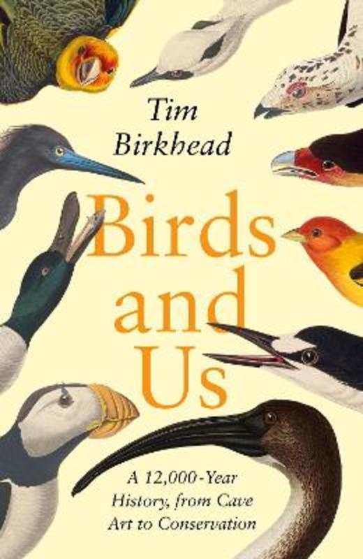 Birds and Us by Tim Birkhead - 9780241460498