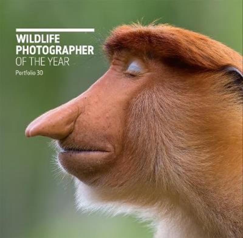 Wildlife Photographer of the Year: Portfolio 30, Volume 30 by Rosamund Kidman Cox - 9780565094928