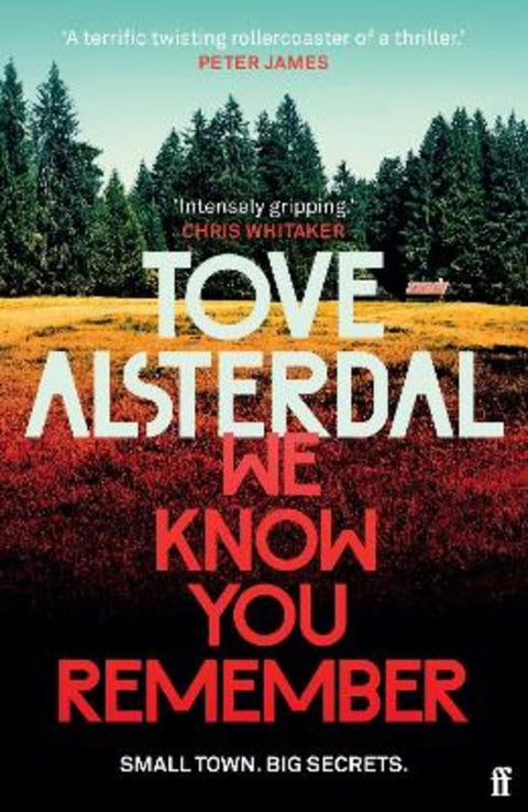We Know You Remember by Tove Alsterdal - 9780571368938