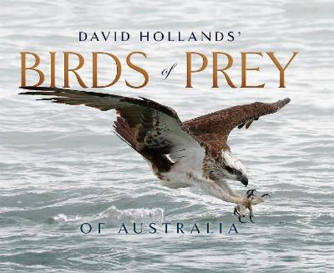 David Hollands' Birds of Prey Of Australia by David Hollands - 9780645162981