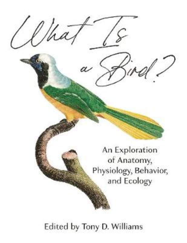 What Is a Bird? by Tony D. Williams - 9780691200163