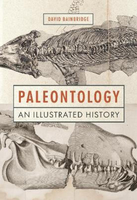 Paleontology by David Bainbridge - 9780691220925