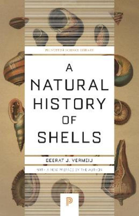 A Natural History of Shells by Geerat Vermeij - 9780691229249