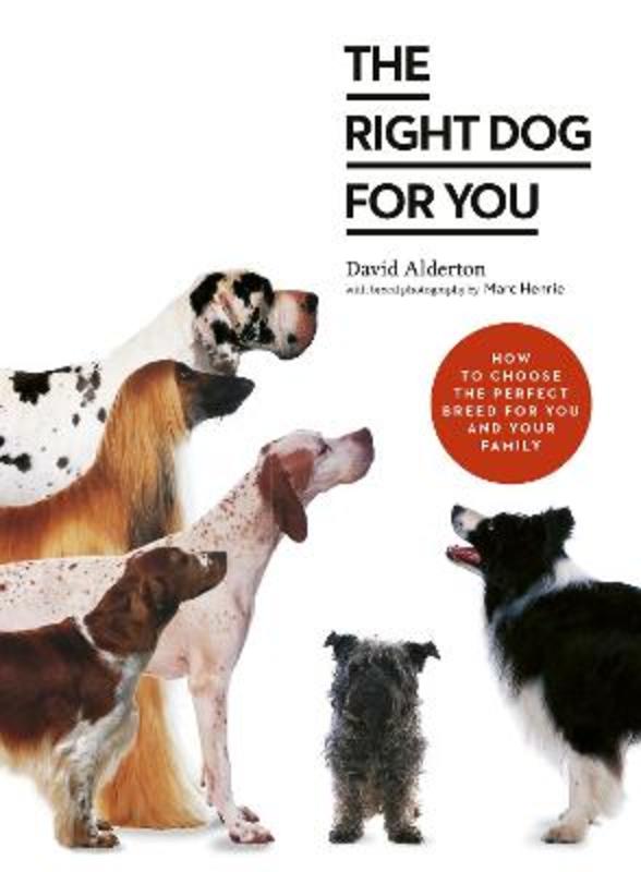 The Right Dog for You by David Alderton - 9780711257504