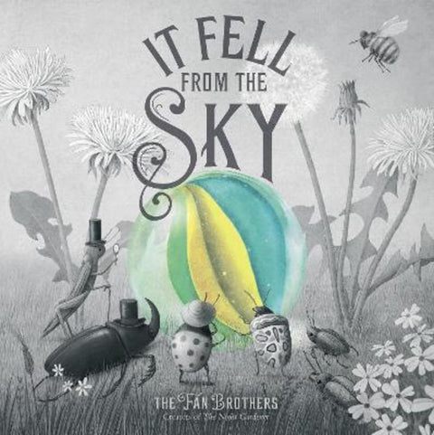 It Fell From The Sky by Terry Fan - 9780711270664