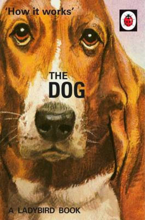 How it Works: The Dog by Jason Hazeley - 9780718184353