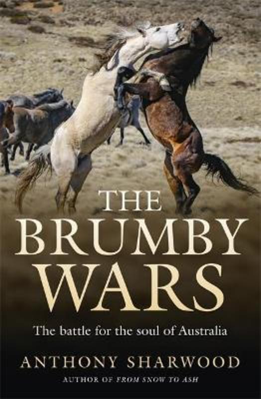 The Brumby Wars by Anthony Sharwood - 9780733647208