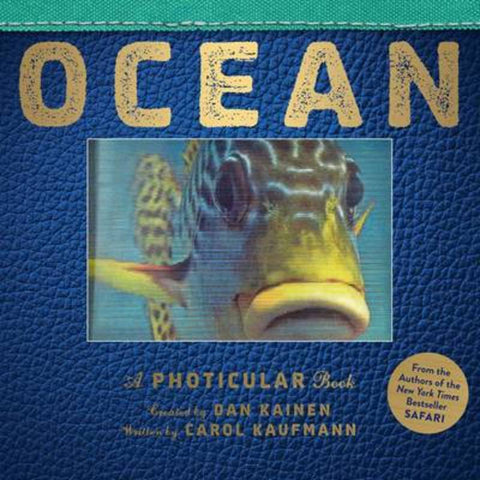 Ocean by Dan Kainen - 9780761180517