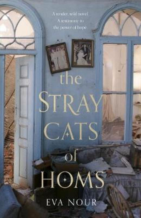 The Stray Cats of Homs by Eva Nour - 9780857526762