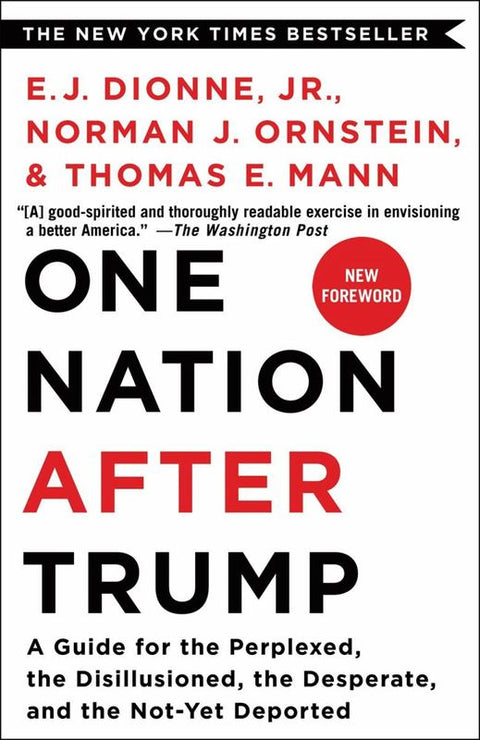 One Nation After Trump by E. J. Dionne Jr. - 9781250293633