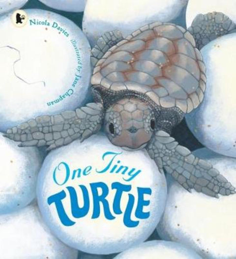 One Tiny Turtle by Jane Chapman - 9781406364637
