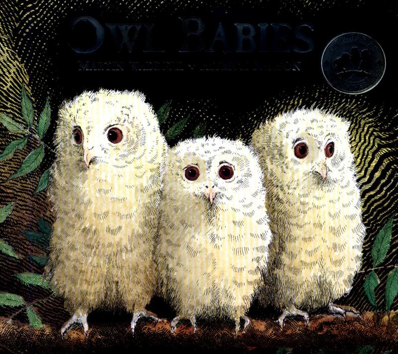 Owl Babies by Martin Waddell - 9781406374377
