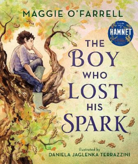 The Boy Who Lost His Spark by Maggie O'Farrell - 9781406392012