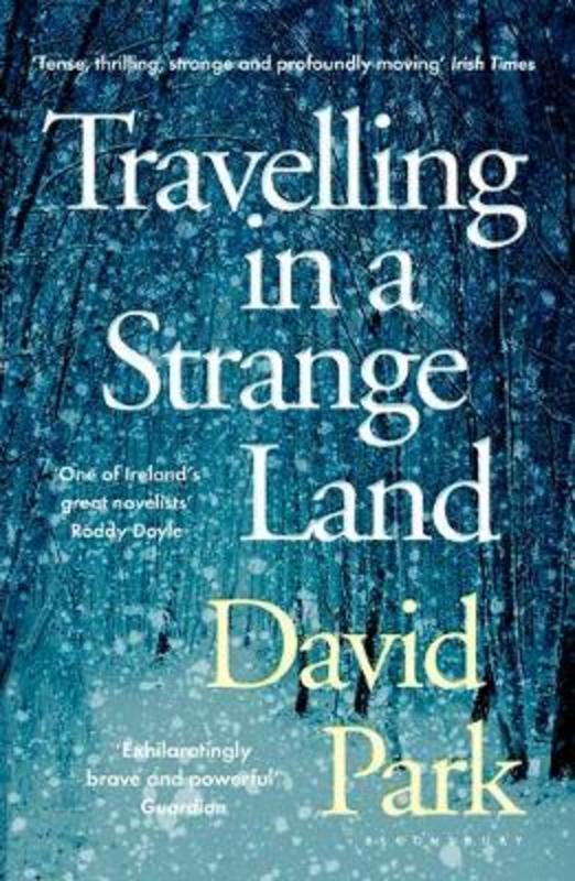 Travelling in a Strange Land by David Park - 9781408892756
