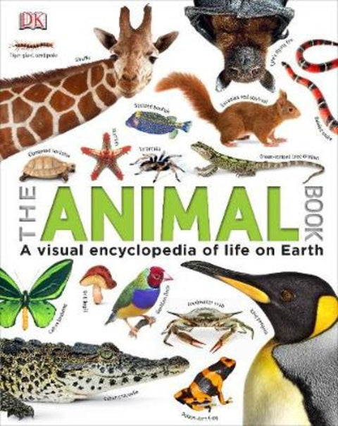 Our World in Pictures The Animal Book by DK - 9781409323495