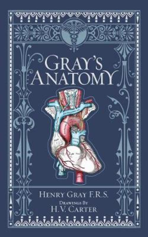 Gray's Anatomy (Barnes & Noble Collectible Editions) by Henry Gray - 9781435167919
