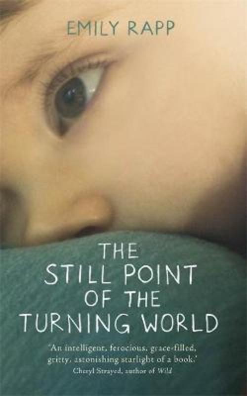The Still Point of the Turning World by Emily Rapp | Harry Hartog ...