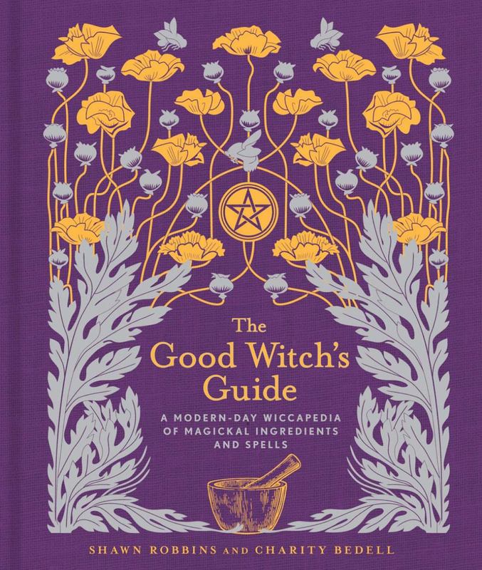 The Good Witch's Guide : Volume 2 by Shawn Robbins - 9781454919520