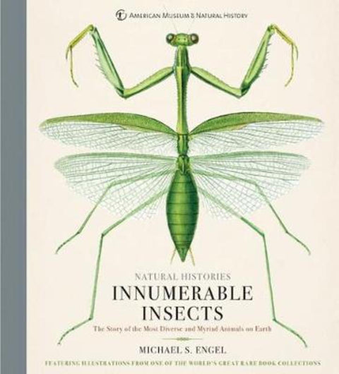 Innumerable Insects by Michael S. Engel - 9781454923237