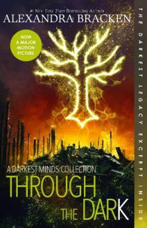 Through the Dark by Alexandra Bracken - 9781460756447