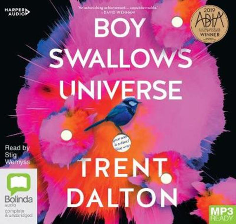Boy Swallows Universe