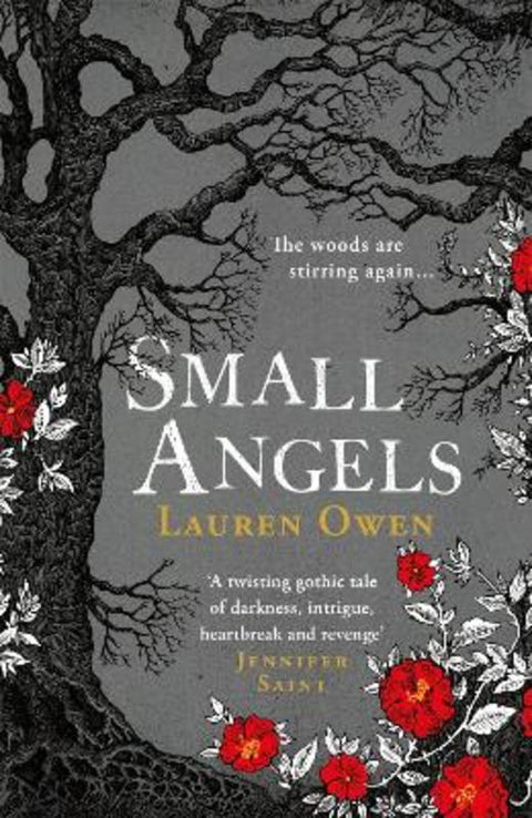Small Angels by Lauren Owen - 9781472280824