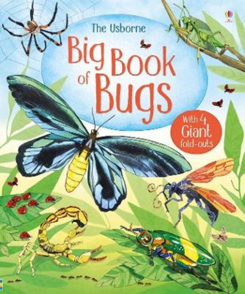 Big Book of Bugs by Emily Bone - 9781474928960