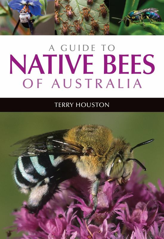 A Guide to Native Bees of Australia by Terry Houston - 9781486304066