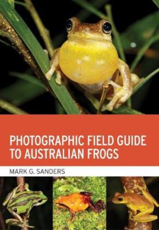 Photographic Field Guide to Australian Frogs by Mark G. Sanders - 9781486313259