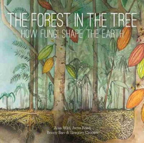 The Forest in the Tree by Ailsa Wild - 9781486313310