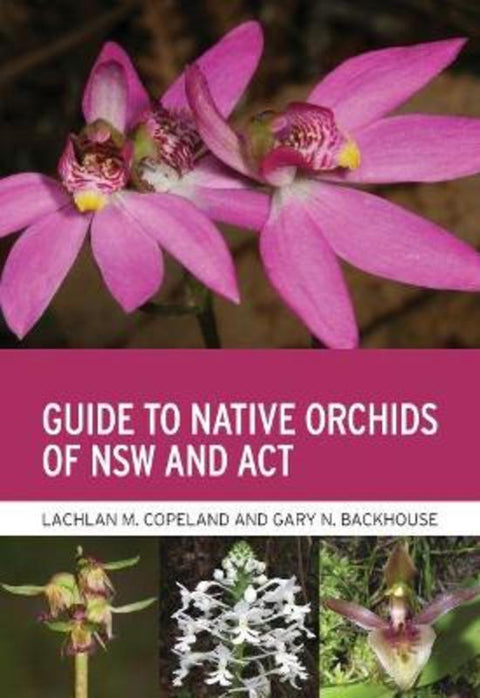Guide to Native Orchids of NSW and ACT by Lachlan M. Copeland - 9781486313686