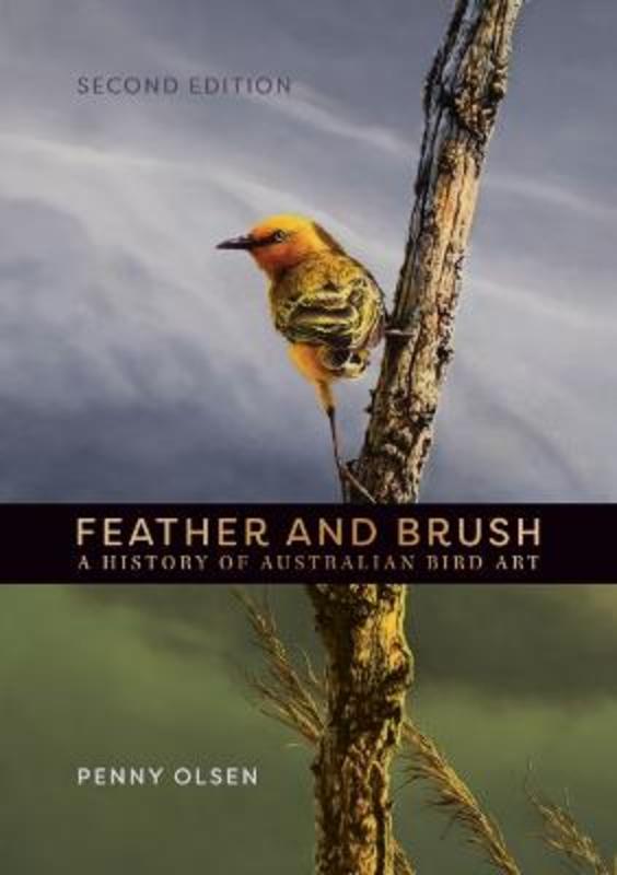 Feather and Brush by Penny Olsen - 9781486314171
