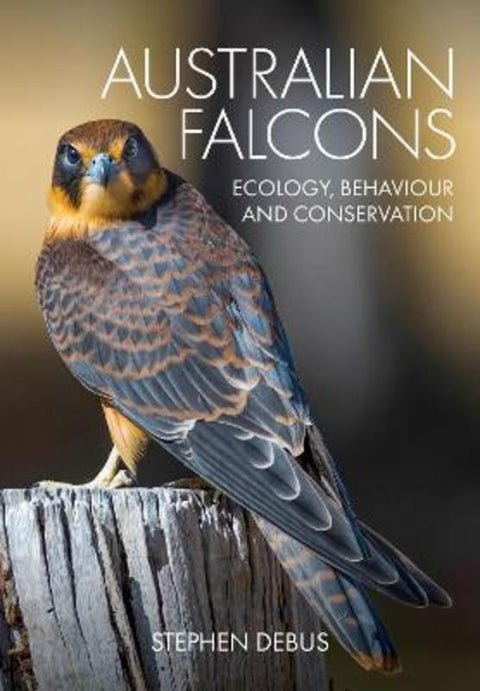 Australian Falcons by Stephen Debus - 9781486315765