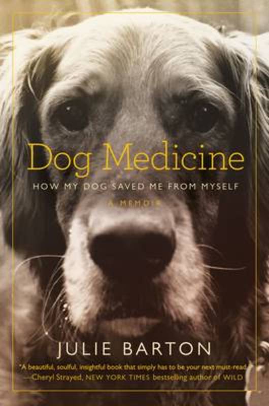 Dog Medicine by Julie Barton - 9781509834488