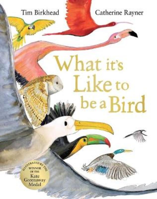 What it's Like to be a Bird by Tim Birkhead - 9781526604125